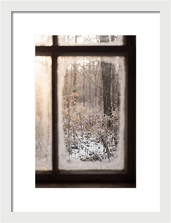 Winter Solstice Serenity