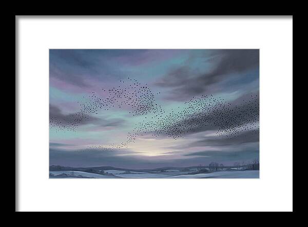 Winter Starling Murmuration At Sunset