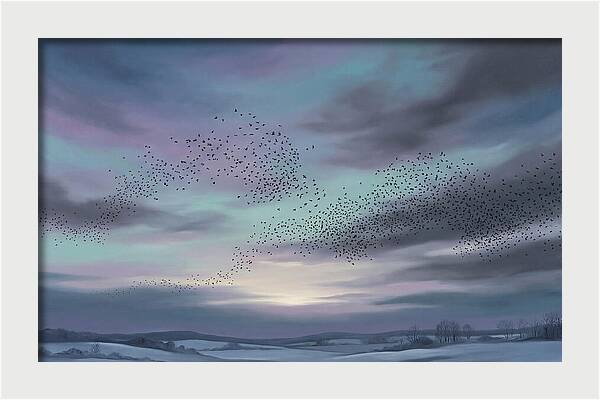 Winter Starling Murmuration At Sunset