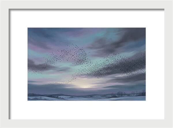 Winter Starling Murmuration At Sunset