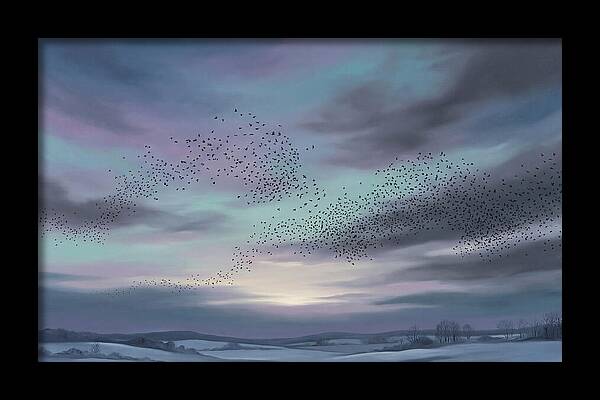 Winter Starling Murmuration At Sunset