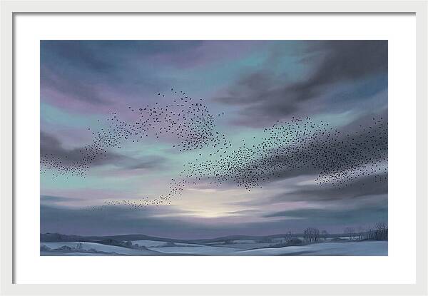 Winter Starling Murmuration At Sunset
