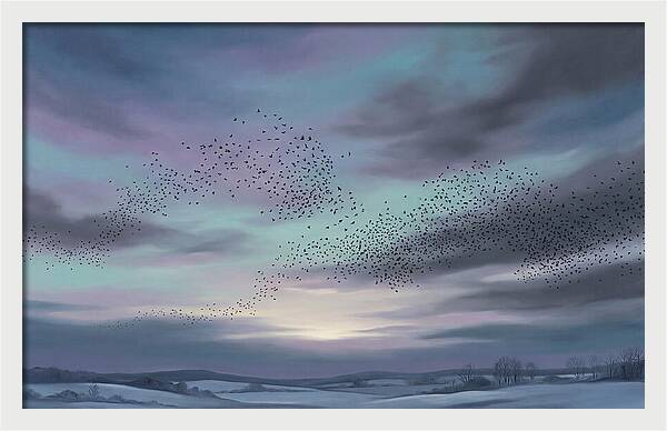 Winter Starling Murmuration At Sunset