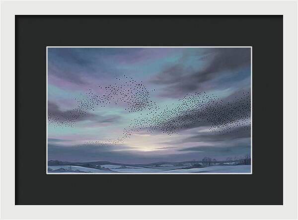 Winter Starling Murmuration At Sunset