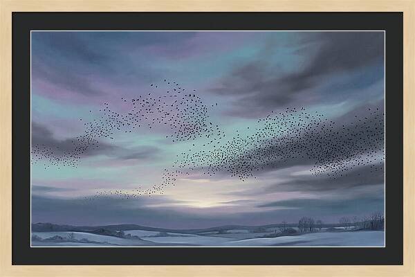 Winter Starling Murmuration At Sunset