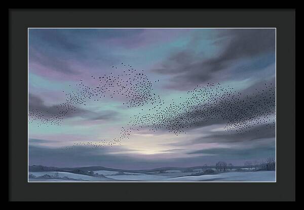 Winter Starling Murmuration At Sunset