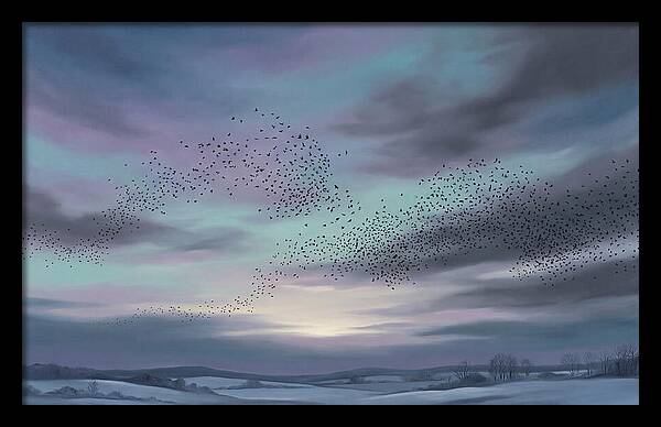 Winter Starling Murmuration At Sunset