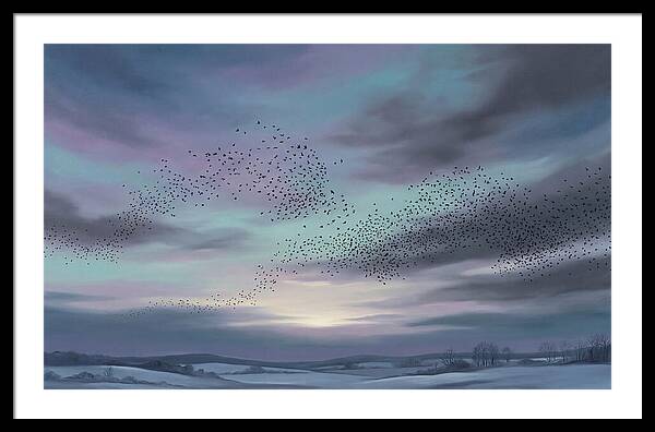 Winter Starling Murmuration At Sunset