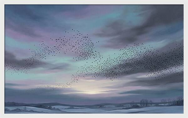 Winter Starling Murmuration At Sunset
