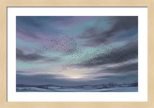 Winter Starling Murmuration At Sunset