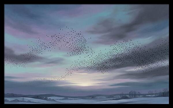 Winter Starling Murmuration At Sunset