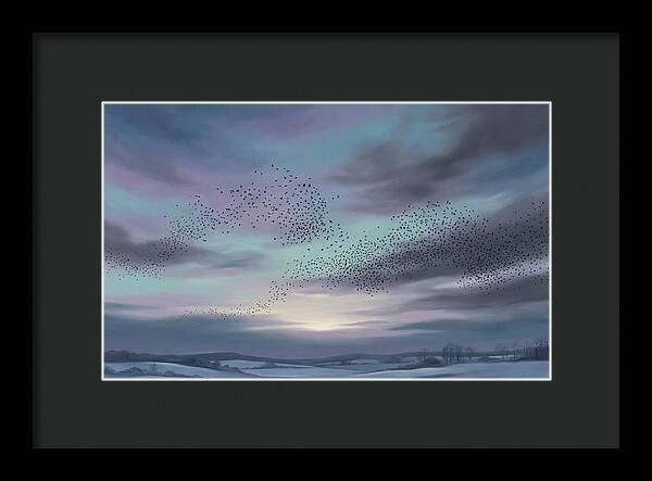 Winter Starling Murmuration At Sunset