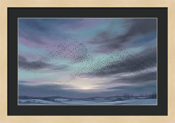 Winter Starling Murmuration At Sunset