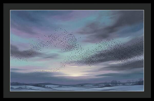 Winter Starling Murmuration At Sunset