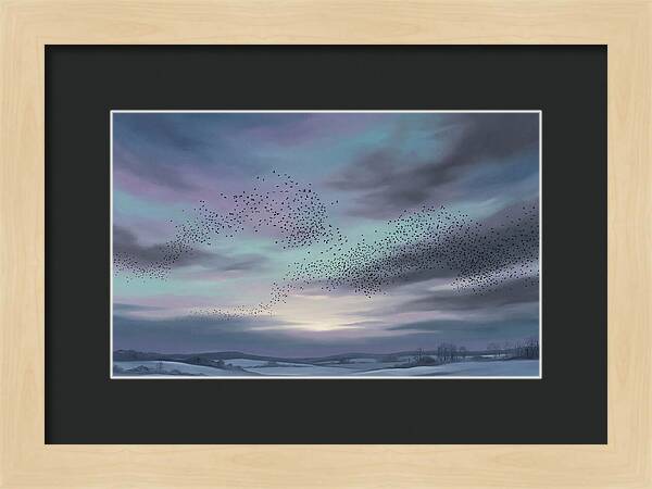 Winter Starling Murmuration At Sunset
