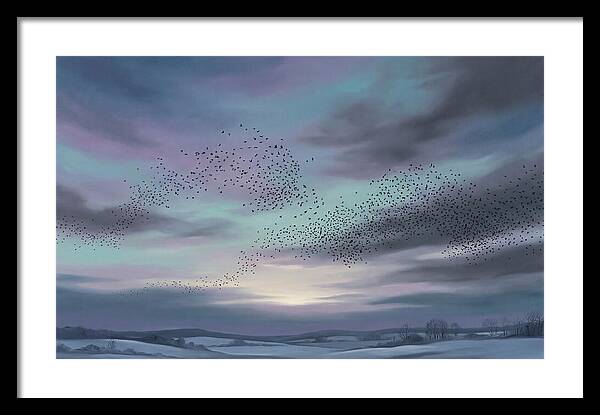 Winter Starling Murmuration At Sunset
