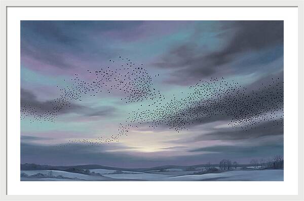 Winter Starling Murmuration At Sunset