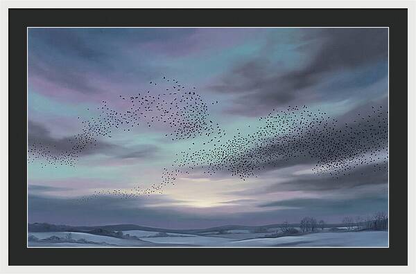 Winter Starling Murmuration At Sunset