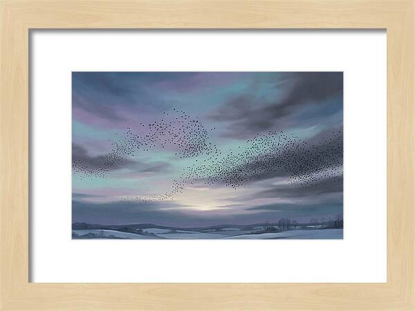 Winter Starling Murmuration At Sunset