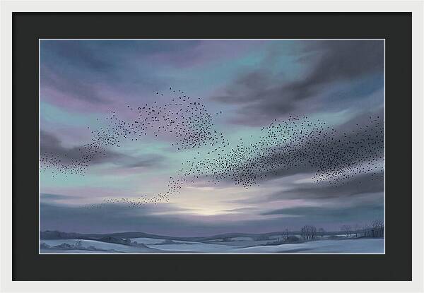 Winter Starling Murmuration At Sunset