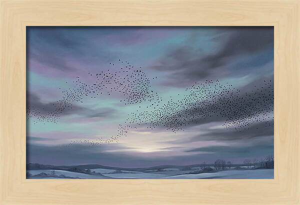 Winter Starling Murmuration At Sunset