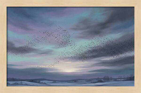 Winter Starling Murmuration At Sunset