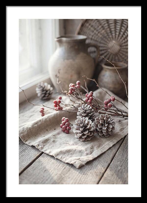 Winter Still Life With Pine Cones