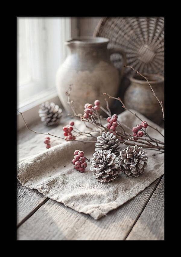 Winter Still Life With Pine Cones