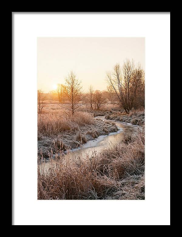 Winter Sunrise Over Frost Covered Meadow