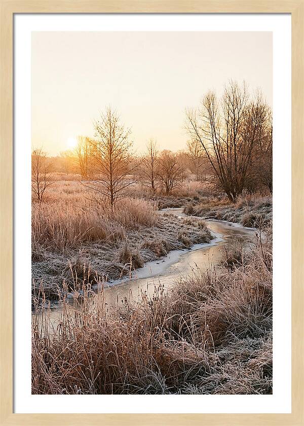 Winter Sunrise Over Frost Covered Meadow