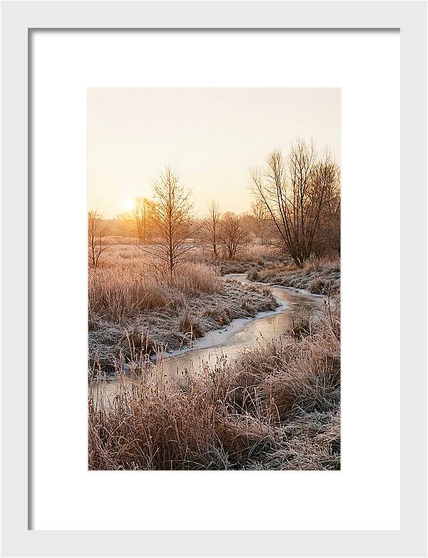 Winter Sunrise Over Frost Covered Meadow