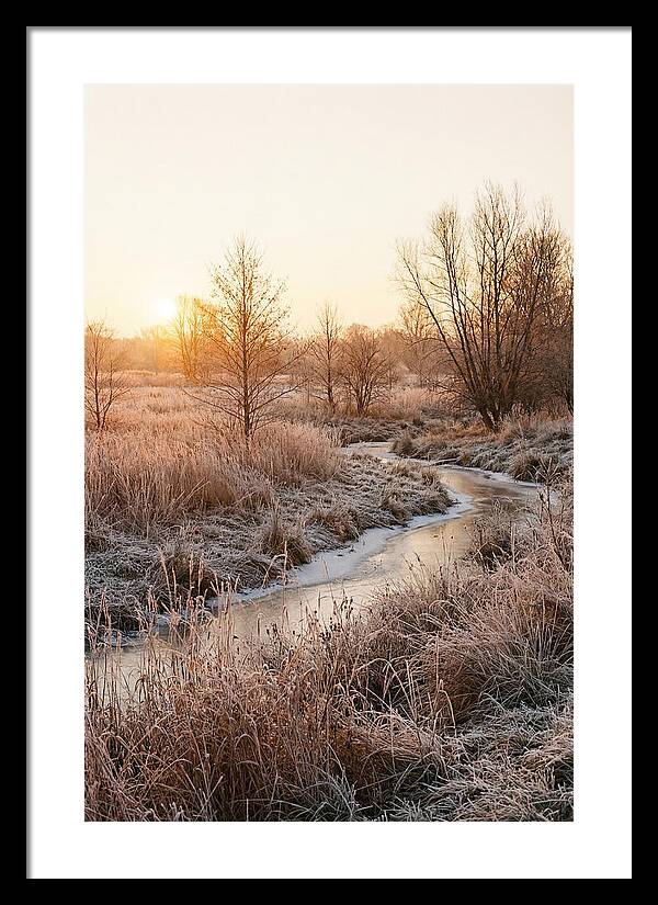 Winter Sunrise Over Frost Covered Meadow