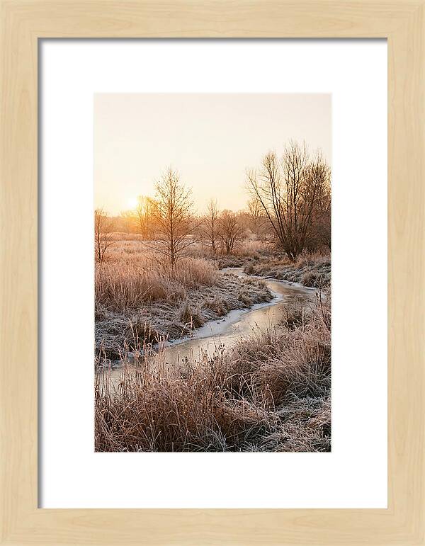 Winter Sunrise Over Frost Covered Meadow