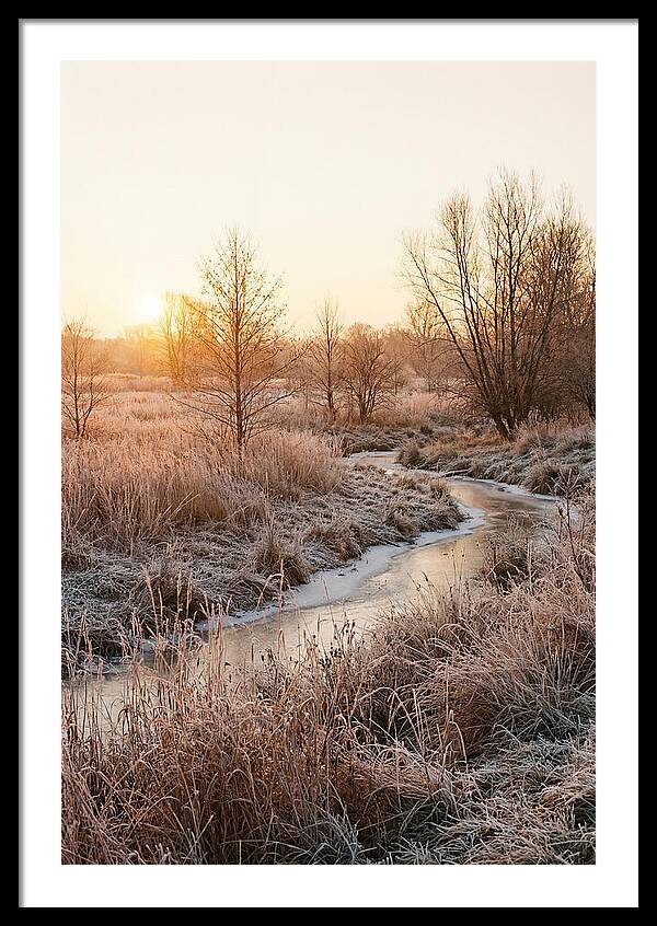 Winter Sunrise Over Frost Covered Meadow