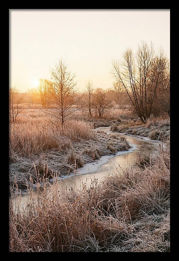 Winter Sunrise Over Frost Covered Meadow
