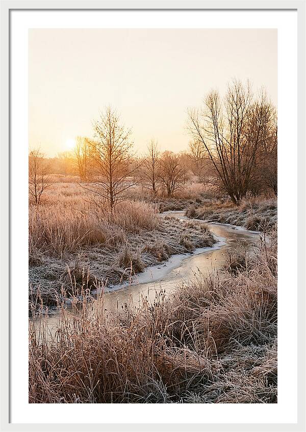 Winter Sunrise Over Frost Covered Meadow