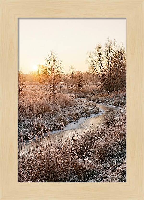 Winter Sunrise Over Frost Covered Meadow