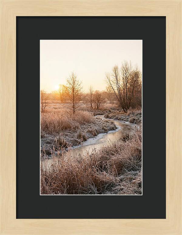Winter Sunrise Over Frost Covered Meadow