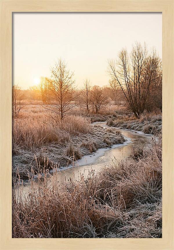 Winter Sunrise Over Frost Covered Meadow