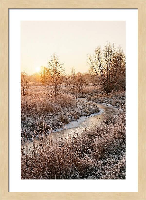 Winter Sunrise Over Frost Covered Meadow