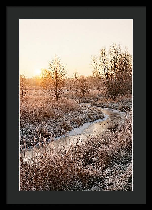 Winter Sunrise Over Frost Covered Meadow