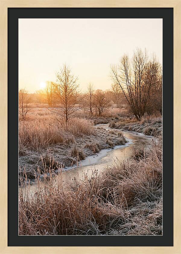 Winter Sunrise Over Frost Covered Meadow