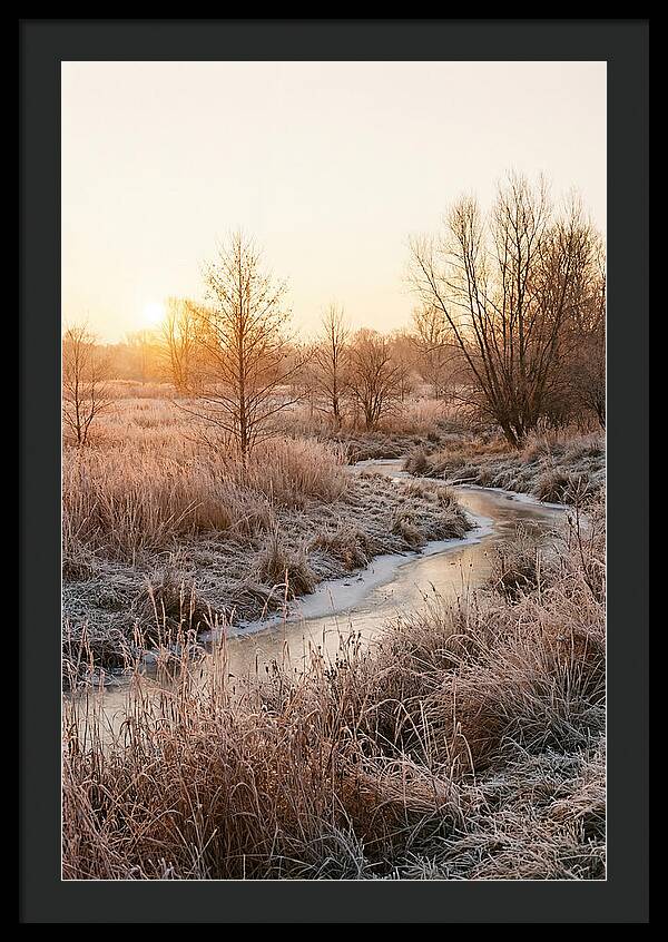 Winter Sunrise Over Frost Covered Meadow