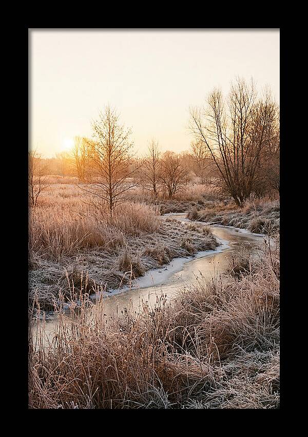 Winter Sunrise Over Frost Covered Meadow