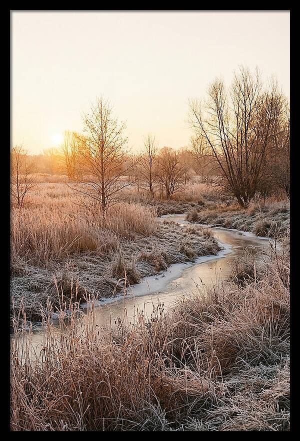 Winter Sunrise Over Frost Covered Meadow