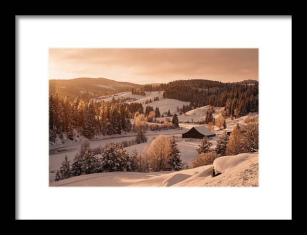 Winter Wonderland Blanketed In Snow