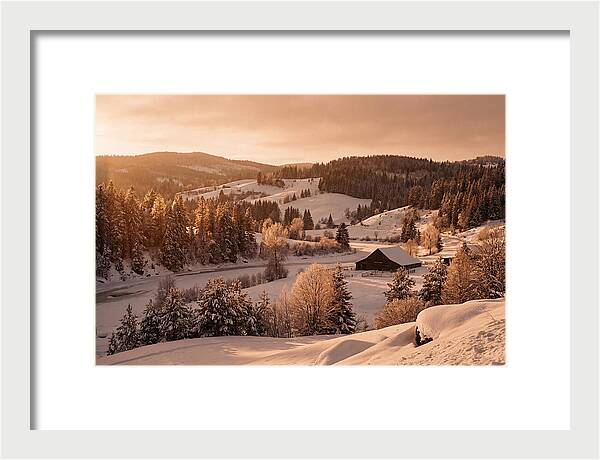 Winter Wonderland Blanketed In Snow