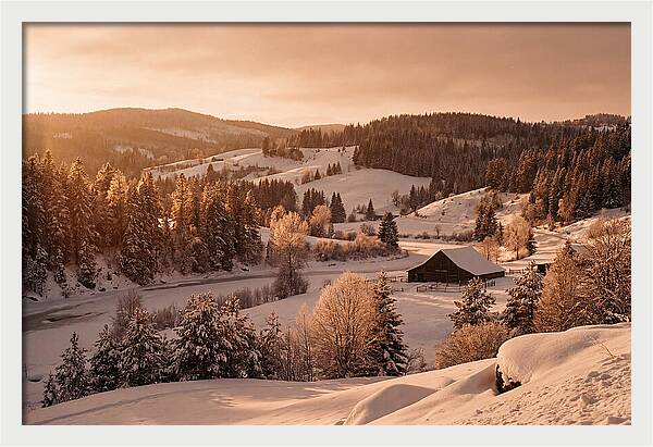 Winter Wonderland Blanketed In Snow