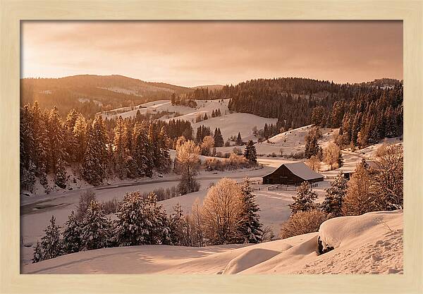 Winter Wonderland Blanketed In Snow