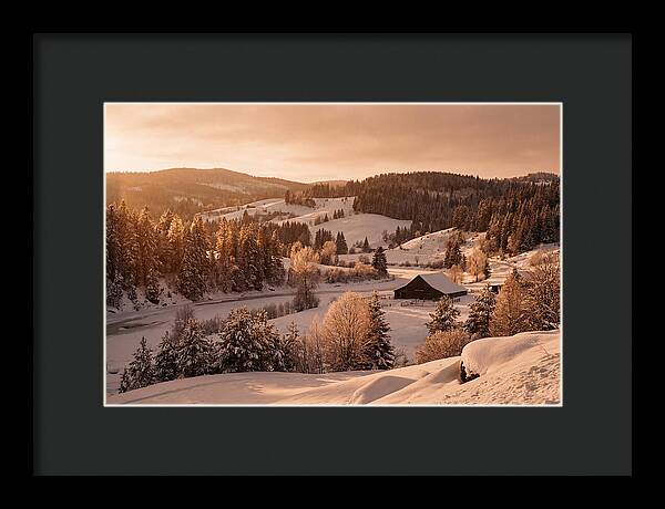 Winter Wonderland Blanketed In Snow